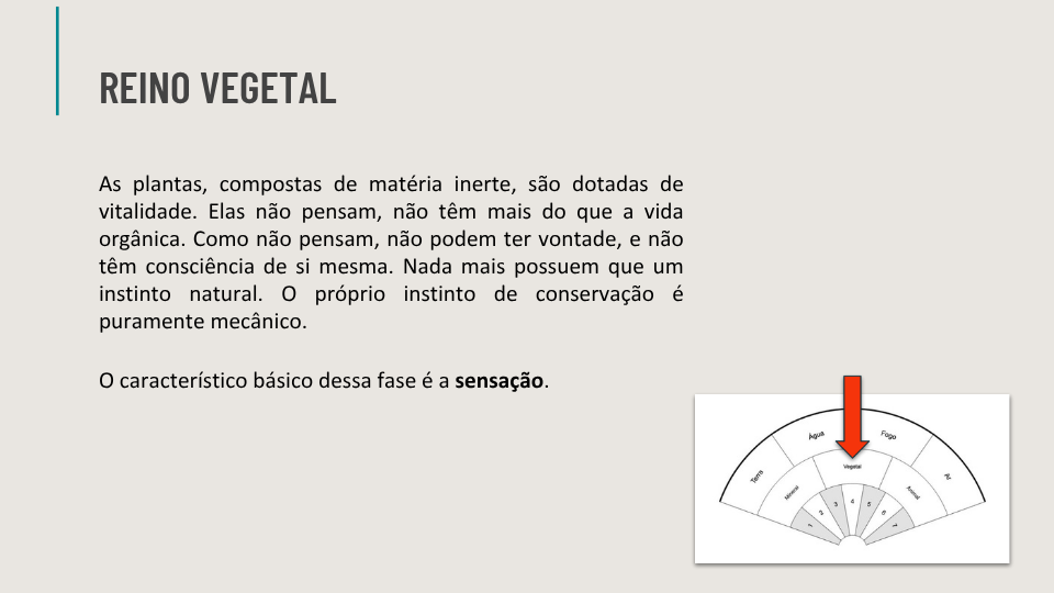 Ebook de Chakras