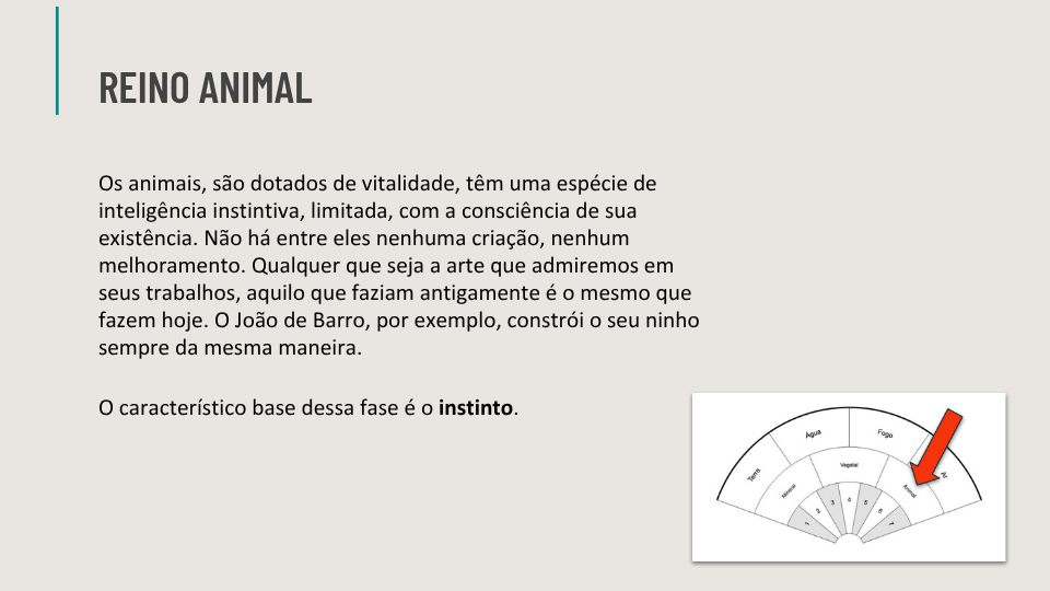 Ebook de Chakras